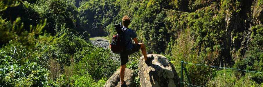 Laurisilva auf Madeira
