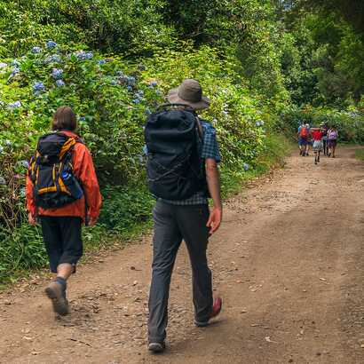 Levada-marocos-wanderer-hortensien