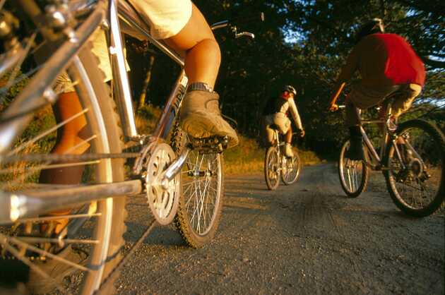 Radfahrer auf einem Weg entlang der Rota Vicentina Fahrrad-Reise.