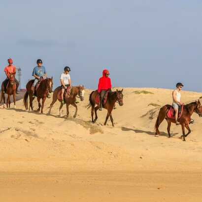 Reiten-wueste-sal