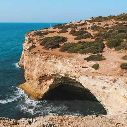 196d1e3c-7e3d-46dc-85f1-216a2a95ed24 large