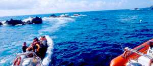 Whale Watching auf den Azoren mit Zodiac-Booten