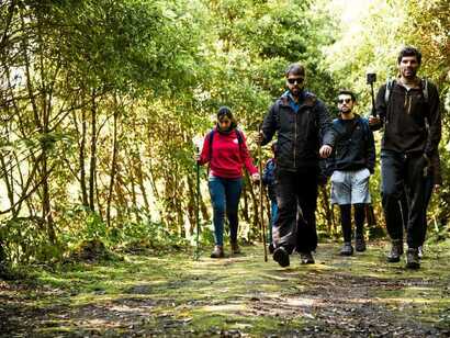 Walking Trails