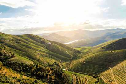 Grüne Douro-Tal in Nordportugal mit Weinreben und Hügellandschaften