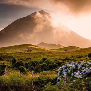 Azoren-insel-pico