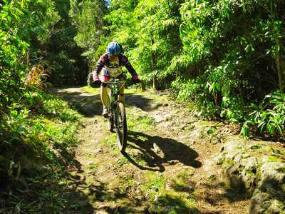 Mountainbiken auf Sao Miguel – Tematic Tour