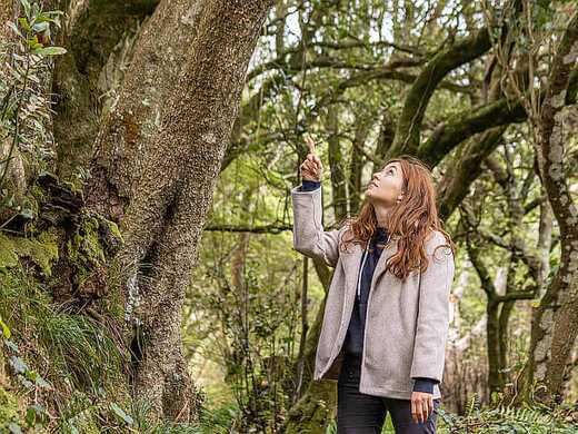 Wandern im Urlaub auf der Insel Sao Miguel