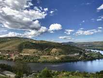 Ausblick auf den Douro mit Weinbergen im Frühsommer im Delfim Douro Hotel