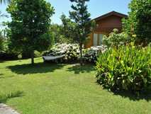 Quinta dos Curubas auf Sao Miguel, idyllische Gartenanlage mit Hängematte und üppiger Pflanzenpracht – perfekt zum Entspannen und Natur genießen bei picotours.