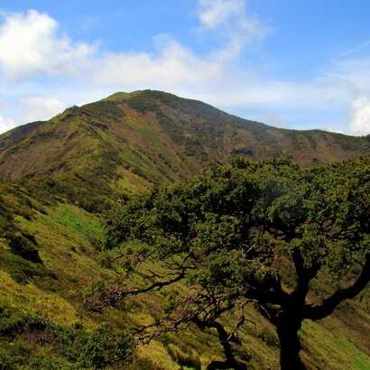 Spektakuläre Azorenlandschaft am Pico da Vara auf Sao Miguel