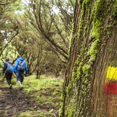 Wanderweg-faial-da-terra-markierung