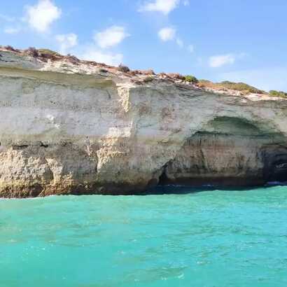 40ad6b9a-aa9a-4e48-805b-a9abb8e85e9e large