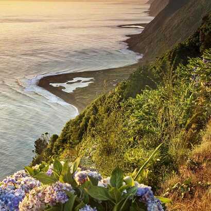 Faja da Caldeira de Santo Cristo Sao Jorge