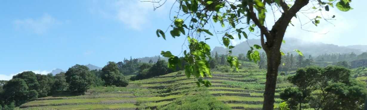 Geführte Wanderungen – Santo Antao- Bild 2
