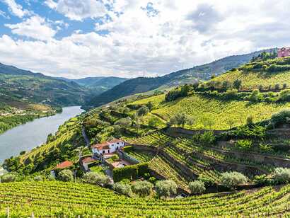 Dourotal-norden-portugal