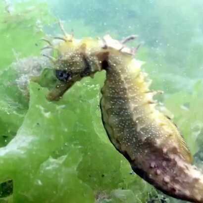 E6278d31-d26c-4213-b724-b8d00cd3d577 large