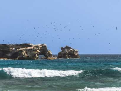 Ilheu de curral velho 002 623356536f