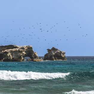 Ilheu de curral velho 002 623356536f