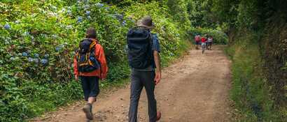 Levada-marocos-wanderer-hortensien