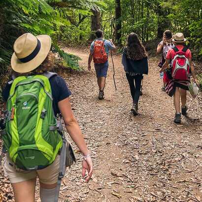 Levada-marocos-wandergruppe-lorbeerwald