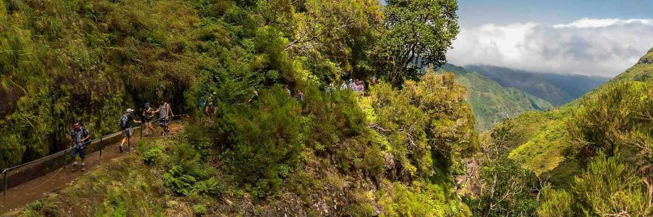 Levada 25 Fontes Madeira