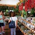 Besuch in der Markthalle in Funchal - ein Erlenbnis für alle die gutes Essen lieben