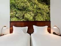 Neat Hotel auf Sao Miguel, modernes Doppelzimmer mit gemütlichem Ambiente und natürlichem Moos-Design als Blickfang für entspannte Urlaubstage.