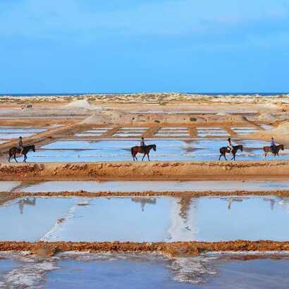 Salzfelder-reitausflug-sal