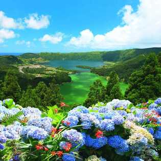 Sete-cidades-vista-do-rei-azoren-hortensien