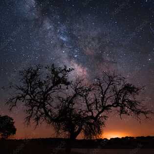 Ein unvergesslicher Anblick: Die Milchstraße funkelt über dem Dark Sky Alqueva im Alentejo.