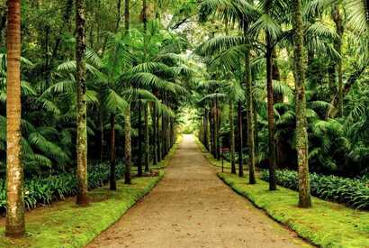 Der Terra Nostra Park ist eine der wichtigsten Azoren Sehenswürdigkeiten