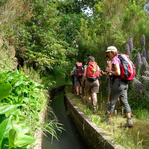 Wanderer folgen einem Levada-Weg auf Madeira durch üppig grüne Landschaft und dichten Lorbeerwald