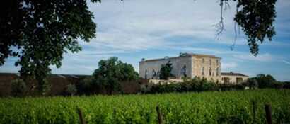 30fe5e39-6aba-46e4-847b-8e28469e3bac large