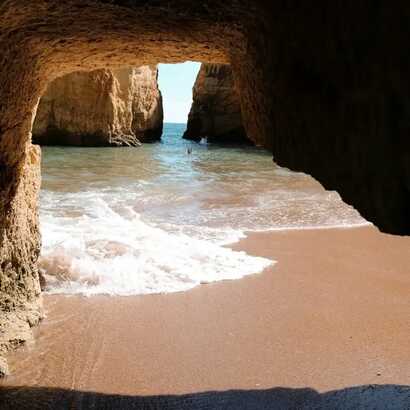 5065f1df-241c-4c22-92de-209dd4f275e7 large