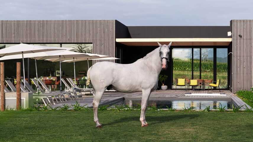 Lusitano-garden-villas-10