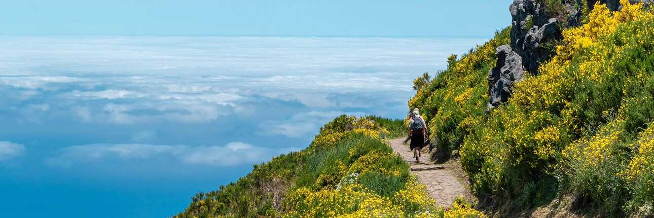 Die Bergwelt Madeiras erblüht im Frühsommer und berauscht Wanderer mit ihrer Frabenfreude