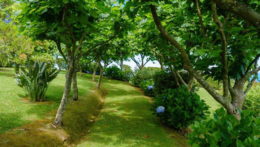 Tradicampo-casa-da-fonte-4