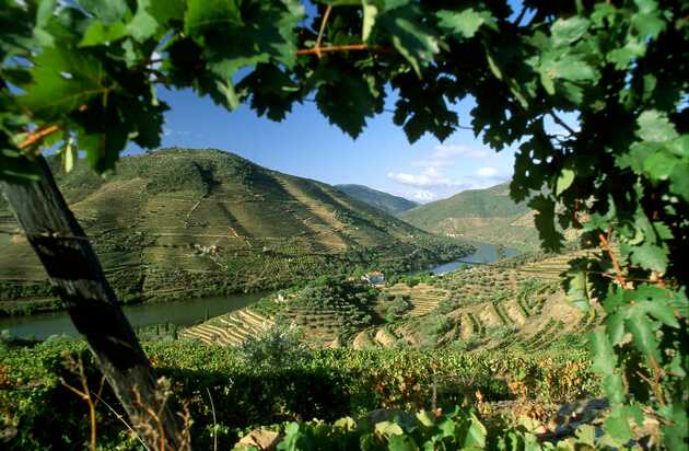 Majestätische Berge mit geometrischen Mustern durch die Weinbepflanzung am herrlichen Dourofluss gelegen, der sich durch die Weinlandschaft schlängelt.