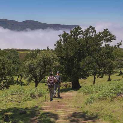 Wanderung lorbeerwald madeira