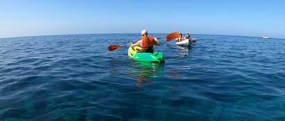 7de905a8-cb3d-4915-85e0-b3abc4e36719 large