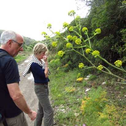 9ce2686f-1775-4140-8b7f-5a59a7153db3 large