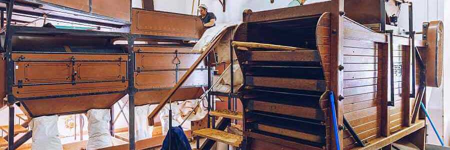 Azoren Tee Produktion in der Fabrik von  Cha Gorreana