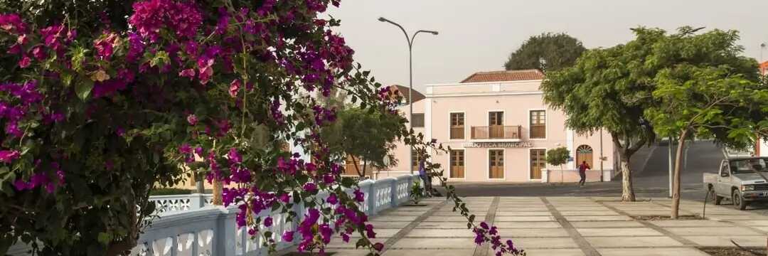 Blühende Bougainvillea entlang der Promenade von São Filipe auf Fogo, Kapverden.