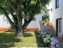 Grüner Innenhof der Quinta São Caetano mit großer Kastanie, Hortensien und weiß gestrichenen Häusern mit orangen Akzenten