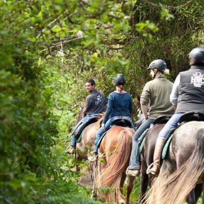 Reiten-faial-wald