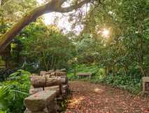 Idyllischer Gartenweg mit Baumstämmen und Sonnenlicht im Solar do Cantos Botanic House.