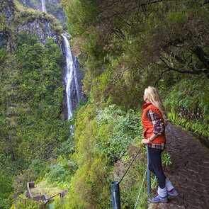 Wandern-lorbeerwald-madeira