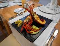 Voi Praia de Chaves Resort auf Boa Vista, köstlicher gegrillter Hummer frisch serviert in elegantem Ambiente – exklusives kulinarisches Erlebnis