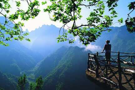Ein Higlight für Ihren Madeira Urlaub: Levadawandern bei Ribeiro Frio