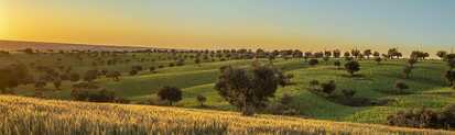 Alentejo: Eine Region mit langer Geschichte